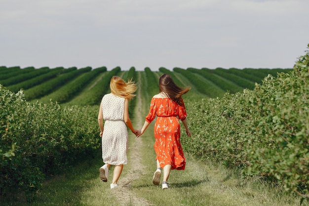 Chicas elegantes y con estilo en un campo de verano