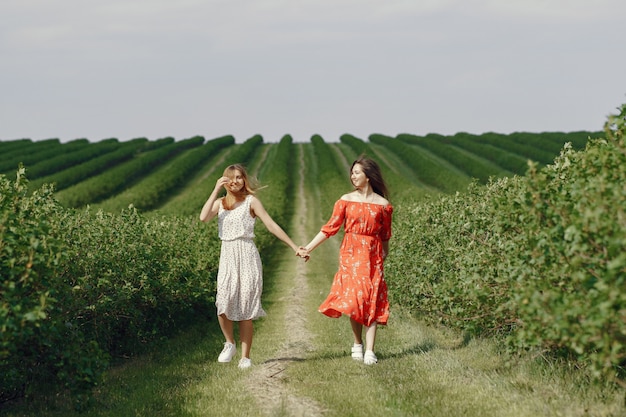 Chicas elegantes y con estilo en un campo de verano