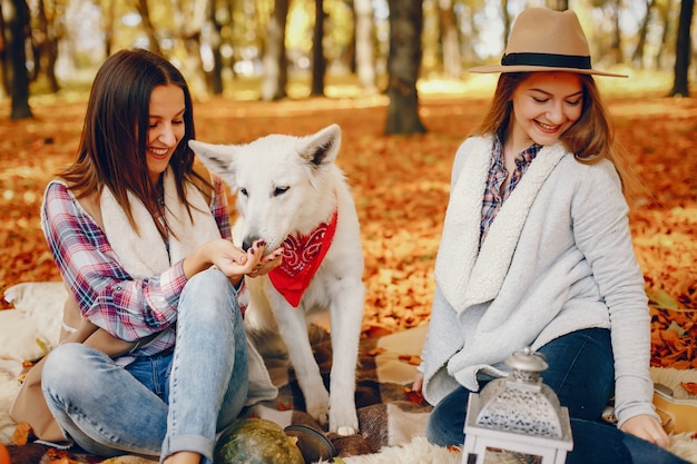 Chicas guapas se divierten en un parque de otoño