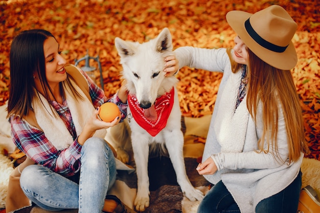 Chicas guapas se divierten en un parque de otoño