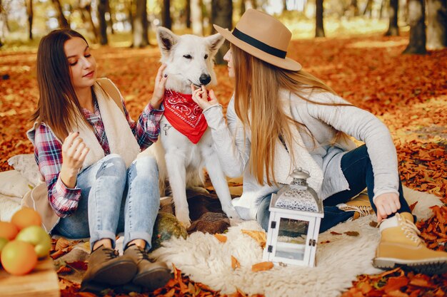 Chicas guapas se divierten en un parque de otoño