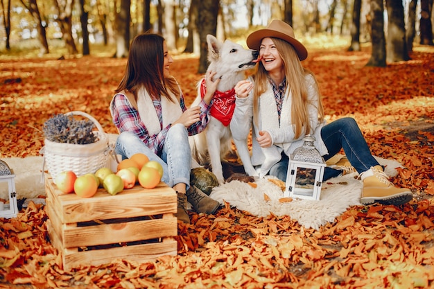 Chicas guapas se divierten en un parque de otoño