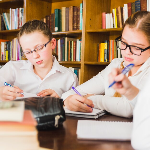 Chicas haciendo la tarea en cuadernos en el escritorio