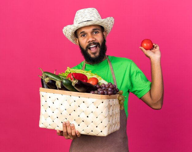 Chico afroamericano joven jardinero sorprendido con sombrero de jardinería sosteniendo una canasta de verduras con tomate aislado en la pared rosa