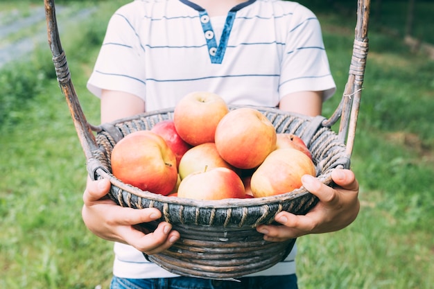 Chico de cultivo con cesta de manzanas