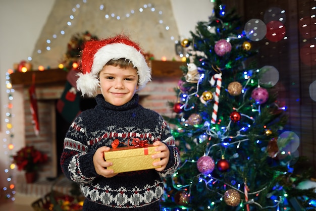 Chico en una habitación decorada para navidad con un regalo