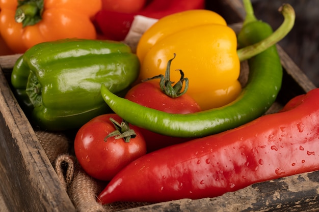 Chiles, pimientos y tomates en una bandeja.