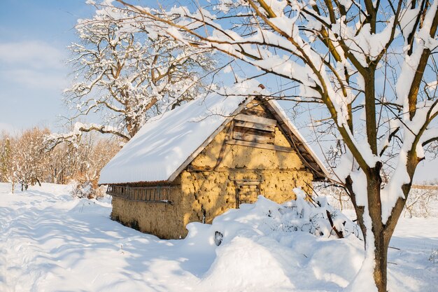 Choza en un campo cubierto de nieve bajo la luz del sol en invierno