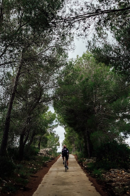 Foto gratuita ciclista en bicicleta al atardecer en el bosque