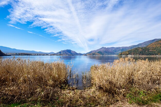 cielo azul y la hierba en el lago Kawaguchiko, Japón