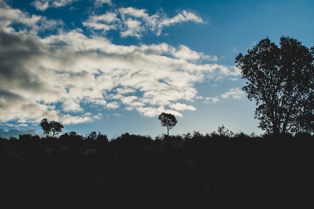 Cielo azul con nubes en el campo