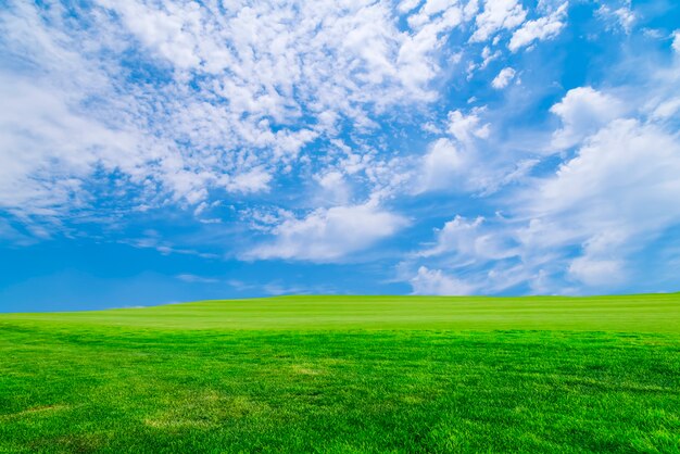 cielo azul y nubes