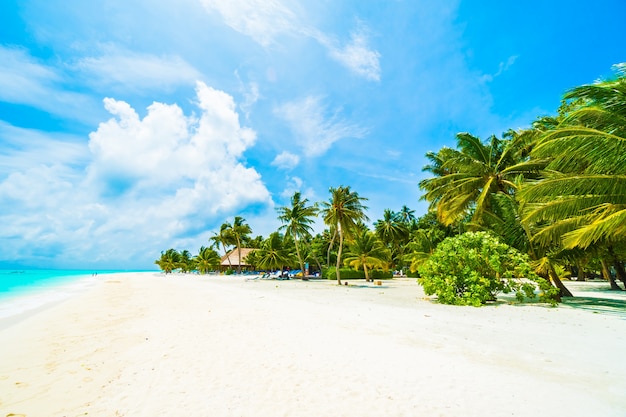 Foto gratuita cielo mar playa árbol islas