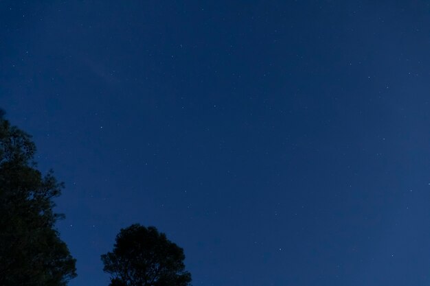 Cielo nocturno de ángulo bajo