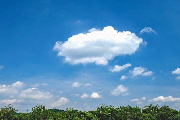 Cielo con nubes y árboles