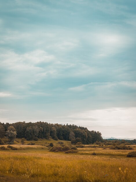 Cielo nublado sobre las colinas con pasto seco en una zona rural