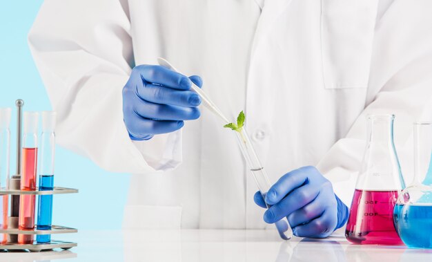 Ciencias de las plantas en laboratorio.