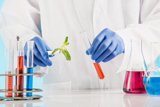 Ciencias de las plantas en laboratorio.