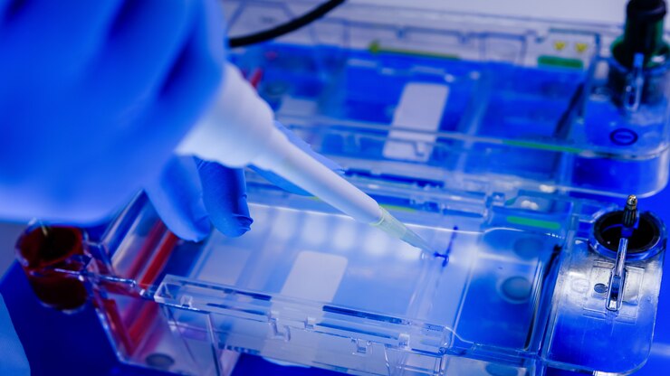 Foto gratuito científico que lleva a cabo el proceso biológico de electroforesis en gel como parte de la investigación