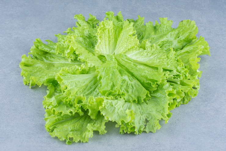 Foto gratuito cierre de hojas de lechuga sobre fondo gris.