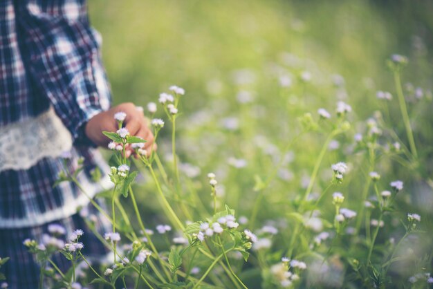 Ciérrese encima de la mano de la niña que toca el wildflower en el prado