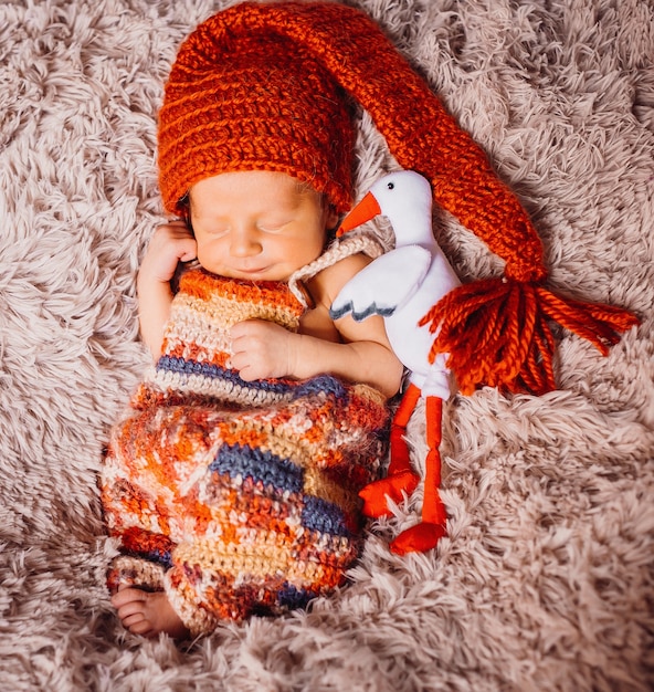 Foto gratuita la cigüeña de juguete abraza al pequeño bebé en sombrero rojo