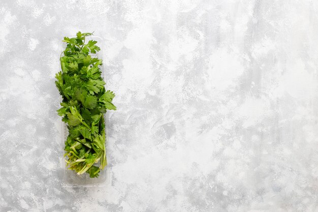 Cilantro verde fresco en cajas de plástico sobre hormigón gris