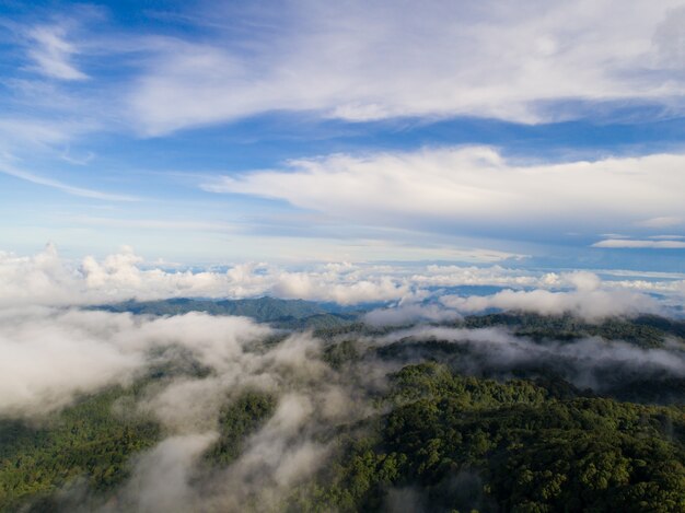 Cima de la montaña con vista al valle brumoso. Foggy Valley Mountain View. Hermosa naturaleza.