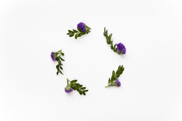 Círculo de flores violetas