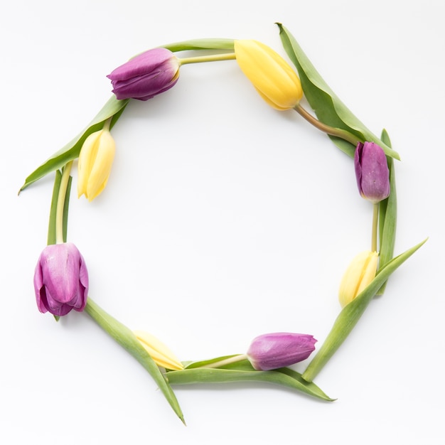 Círculo de hermosos tulipanes