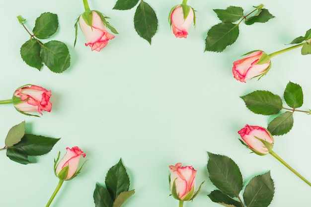 Foto gratuita círculo de rosas y hojas de plantas