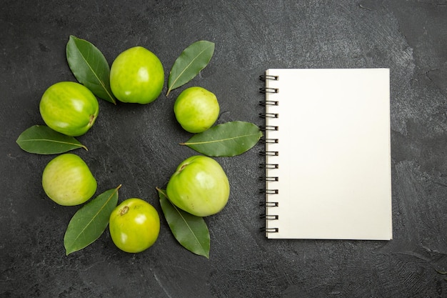 Círculo de vista superior de tomates verdes y hojas de laurel un cuaderno sobre una superficie oscura