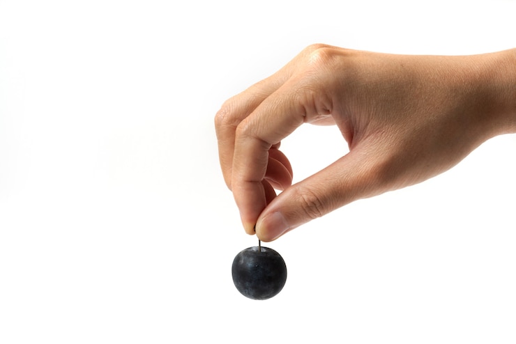 Foto gratuito una ciruela cereza negra tomada del tallo