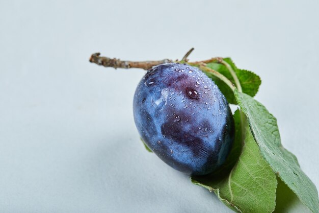 Ciruela fresca con hojas aisladas en azul.