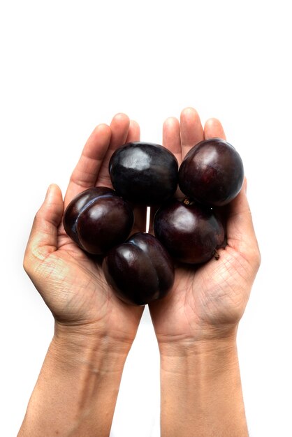 Ciruelas cereza negra en la mano