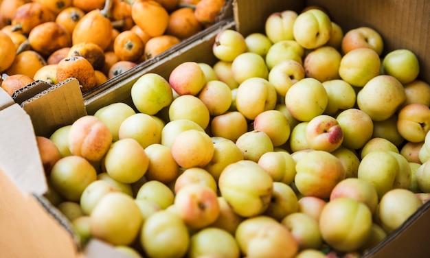Ciruelas orgánicas de fruta en el mercado local de agricultores.