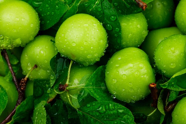 Ciruelas verdes lluviosas con primer plano de hojas verdes