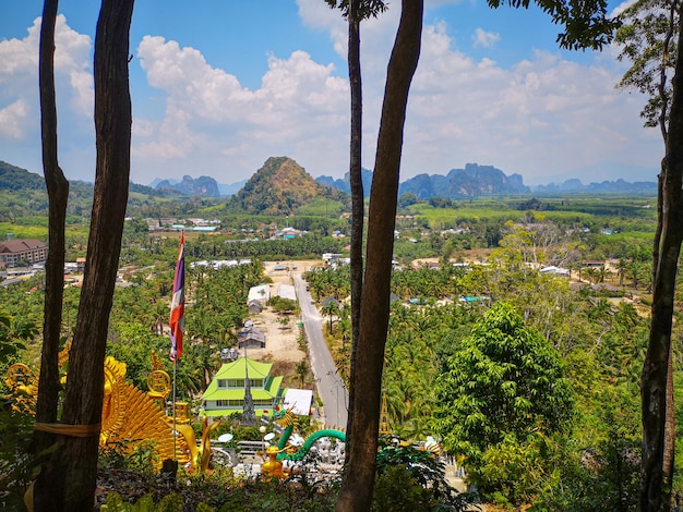 Ciudad con bosques y montañas a lo lejos.