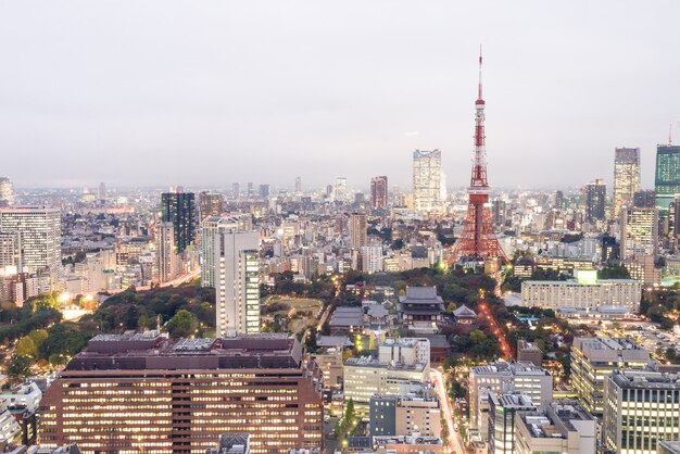 Ciudad de tokio