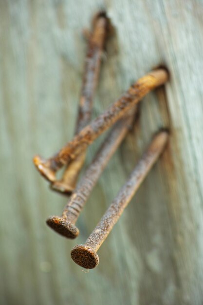 Clavos oxidados clavados en una madera