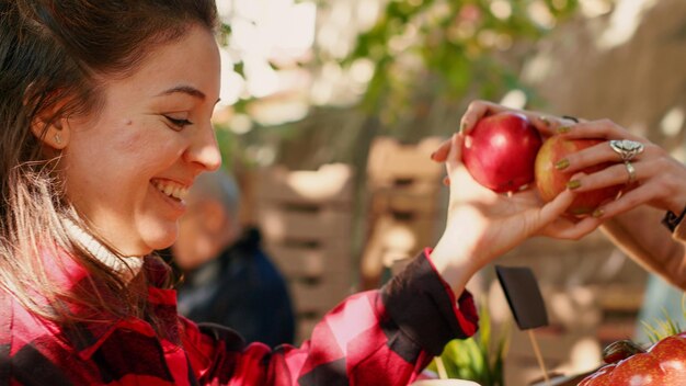 Cliente joven que elige manzanas coloridas para comprar a un agricultor local, mirando productos saludables en el mostrador del mercado verde. Clienta visitando el puesto del mercado de agricultores, productos orgánicos. Disparo de mano.