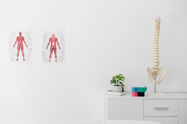 Foto gratuita clínica de fisioterapia con esqueleto de columna sobre una mesa