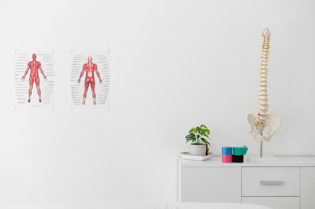 Clínica de fisioterapia con esqueleto de columna sobre una mesa