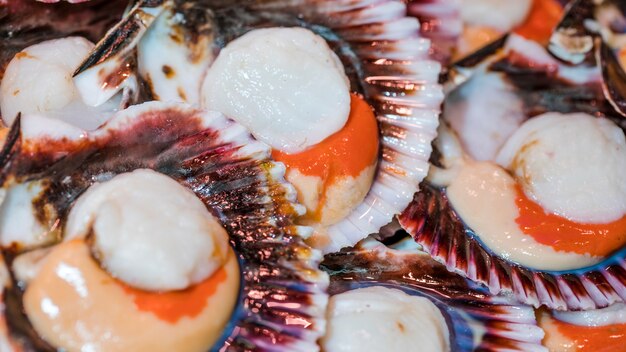 Close-up de almejas frescas en el mercado