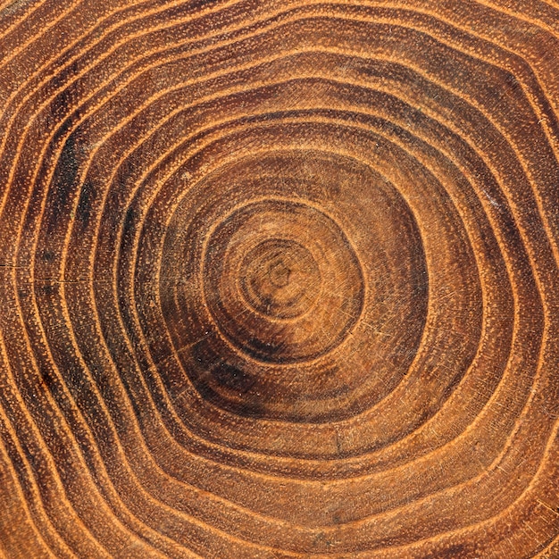 Foto gratuita close-up de anillos de crecimiento anual de madera