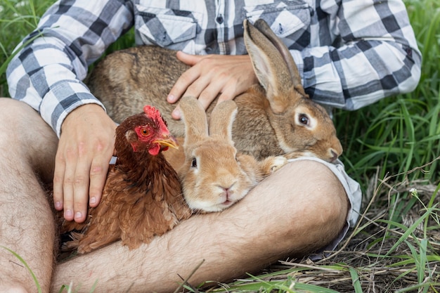 Foto gratuita close-up boy jugando con conejos y pollo