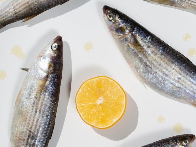 Close-up caballas peces en un plato