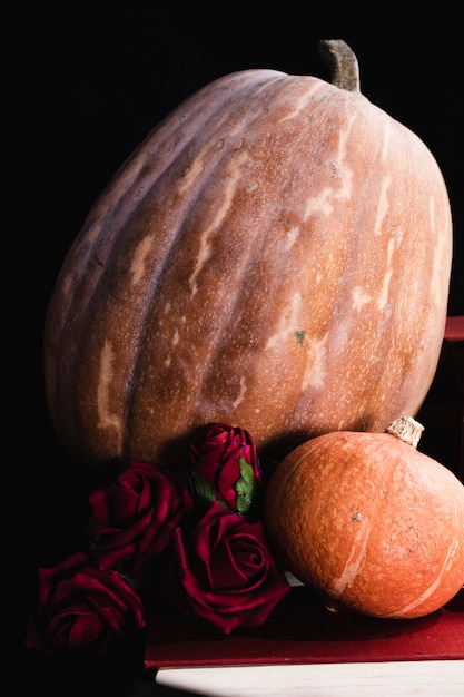 Close-up de calabazas y rosas