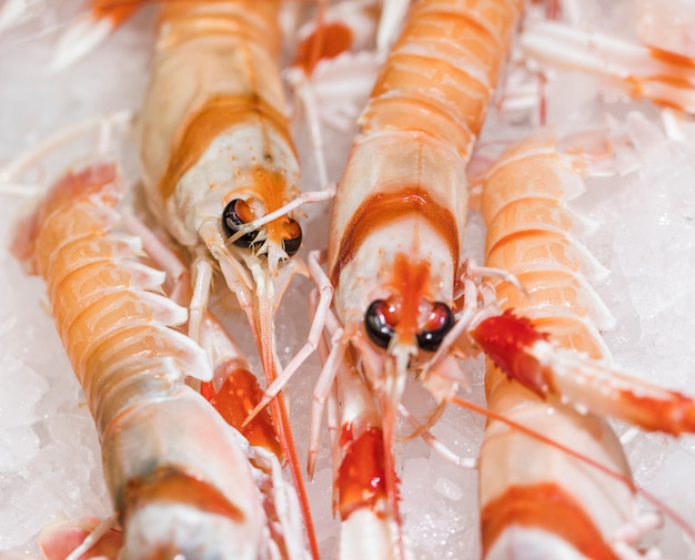 Close-up de camarones en hielo en el mercado