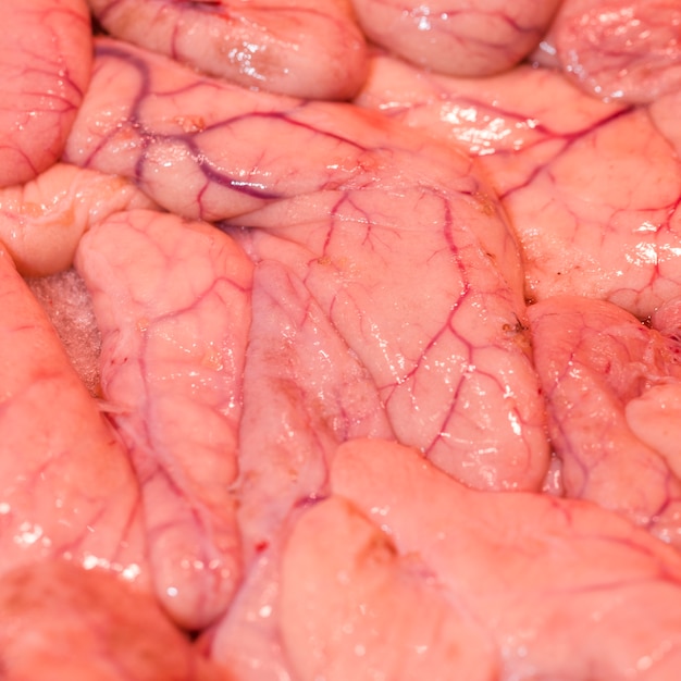 Foto gratuita close-up de carne recién cortada en el mercado